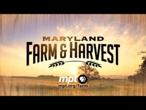 Maryland Farm and Harvest on MPT logo